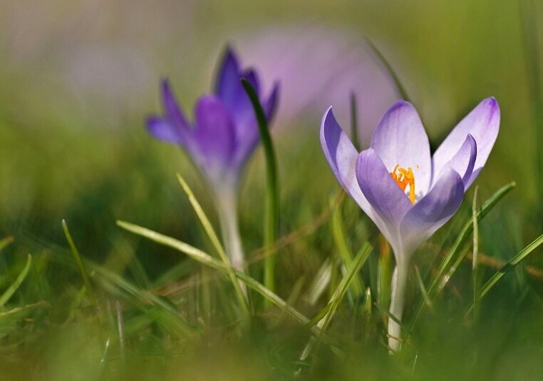 wir zeigen auf, dass zu einer guten Gartenplanung auch eine schöne Außenbeleuchtung mit Gartenleuchten gehört.