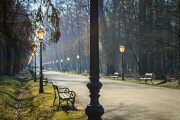 historische Außenleuchten. Allee Weg mit Bäumen. Leuchtenmast mit verzierter Lampe. Farbe schwarz.