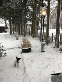 historische Außenleuchte für den Garten. H: 305cm. Aluminium. Schwarz. 4-eckige Lampe.