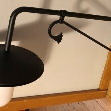 Wabndleuchte Draco mit langem Arm. Gesamtlänge: 880mm. Diese Wandlampe ähnelt der Plates Nr. 41215 von Surya, ist aber preiswerter.