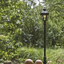 Die Louis XIII Nr. 6 beeindruckt mit klassischer Silhouette und kräftiger Präsenz – perfekt für große Grundstücke und Gartenalleen.